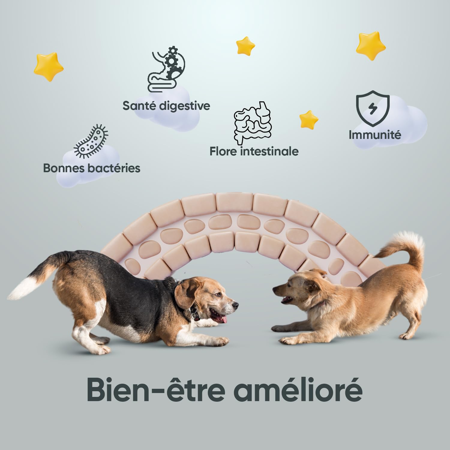 Probiotique Chien, 120 Gélules - 2,5 Milliards d'UFC par Portion, avec Ingrédients Naturels, Enzymes digestives et Probiotiques Chien - Fibres Solubles, 95% de Fructanes (FOS)
