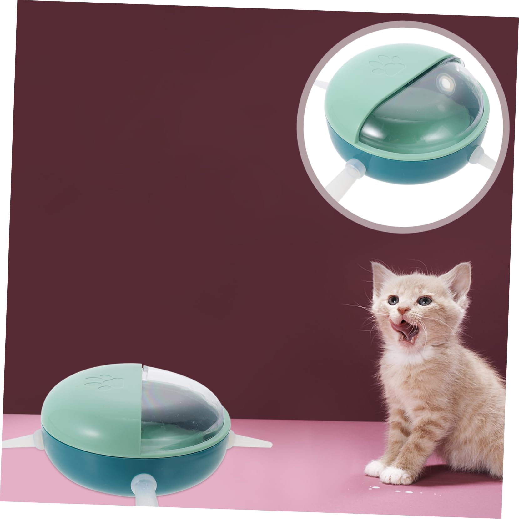 3 Piezas Dispositivo De Lactancia Herramienta De Alimentación De Cachorros Tazones De Leche para Perros Recién Nacidos Cuenco para Perros Tazones De Leche para Gatitos Páginas Blue