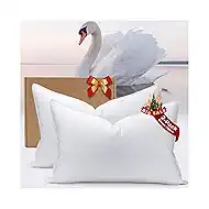 White Goose Down Pillow 2 Packs Luxury Hotel Bed Pillow with 100% 900+ Fill Power, Goose Feather Pillow for Sleeping, 600 Thread Count Cotton Shell, Queen Size- Medium