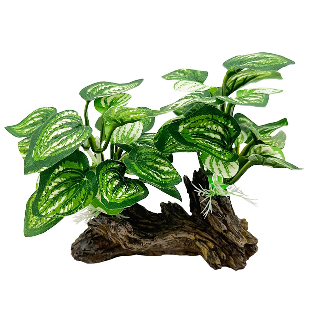 Smoothedo-Pets Fish Tank Decorations Aquarium Decor Ornaments Betta Leaf pad Hammock 5inch Plastic Artificial Plant Goldfish Fish Hides Small Tank/Reptiles Plants Driftwood (Driftwood-B)
