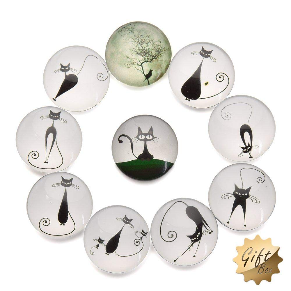 FF Elaine 10 Pcs Fridge Magnets Crystal Glass Housewarming Home Decorations Gift. (Cat)