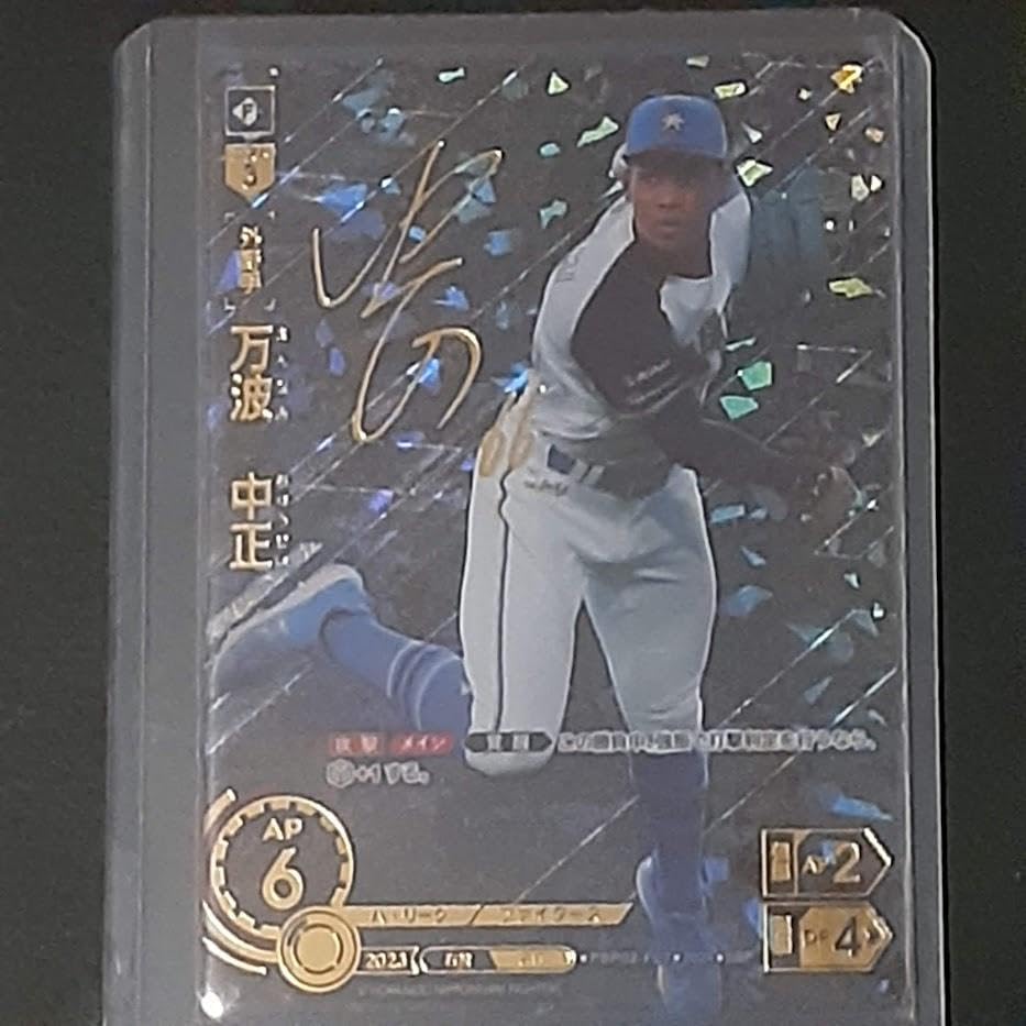 ドリームオーダー 万波サイン付き ssp Amazon.co.jp: ドリームオーダー 第2弾 万波中正 SSP サイン