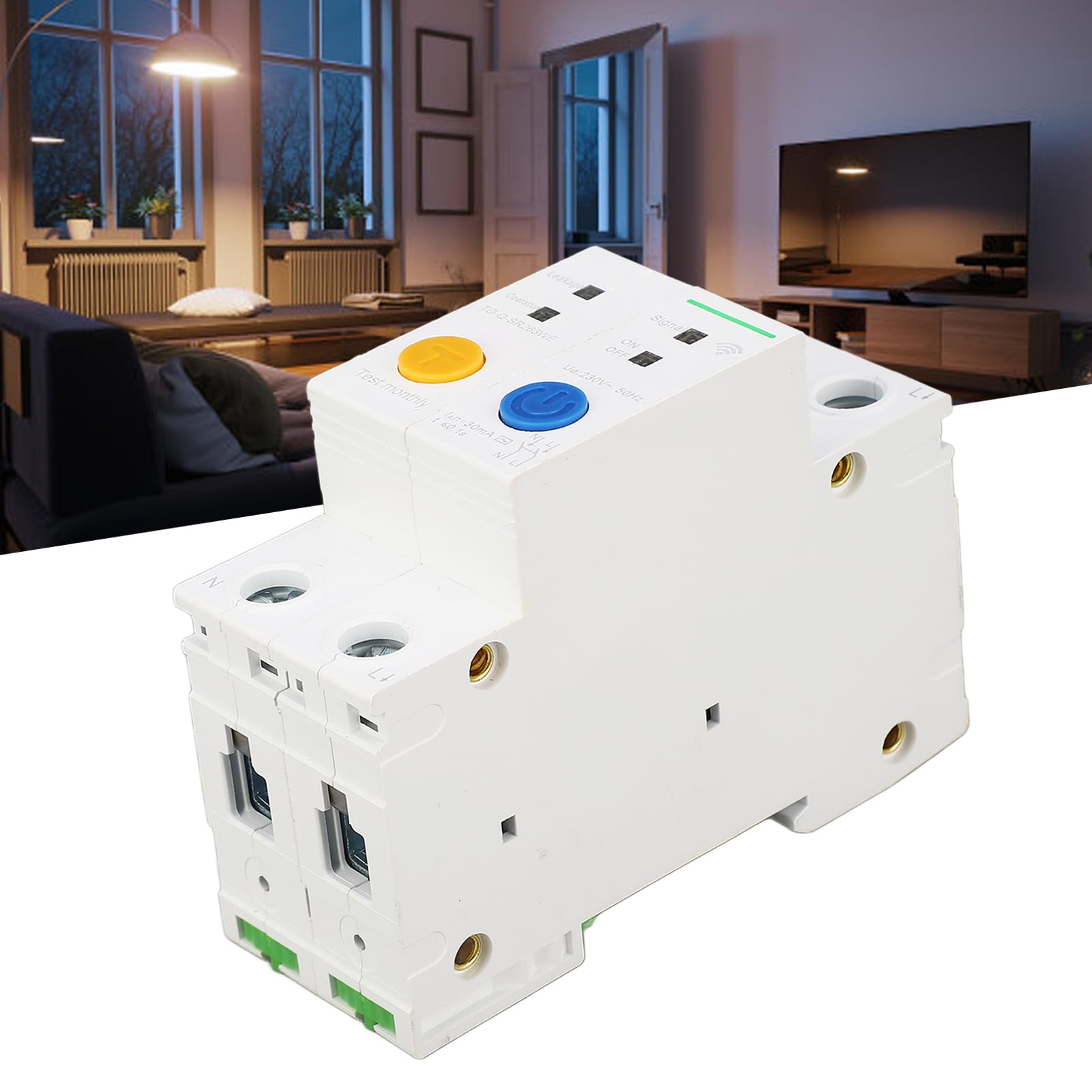 WLAN-Schutzschalter mit Fernbedienung, 2P-Ausführung (50A)
