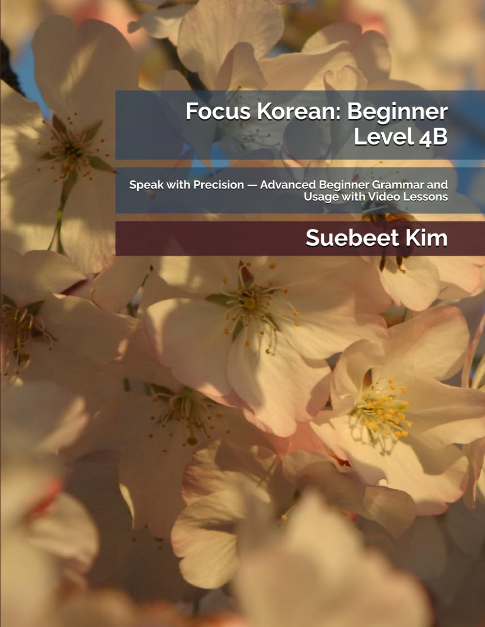 Focus Korean: Beginner Level 4B: Speak with Precision — Advanced Beginner Grammar and Usage with Video Lessons (TheKoreanTutor.com Focus Korean: ... Learning System—from Hangeul to Fluency.)
