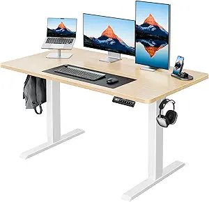 HUANUO 48" x 24" Electric Standing Desk Adjustable Height, 4 Memory Height Settings, Headphone Hook, Cable Manager, Sit Stand Up Desk for Home Office & Computer Workstation, Natural