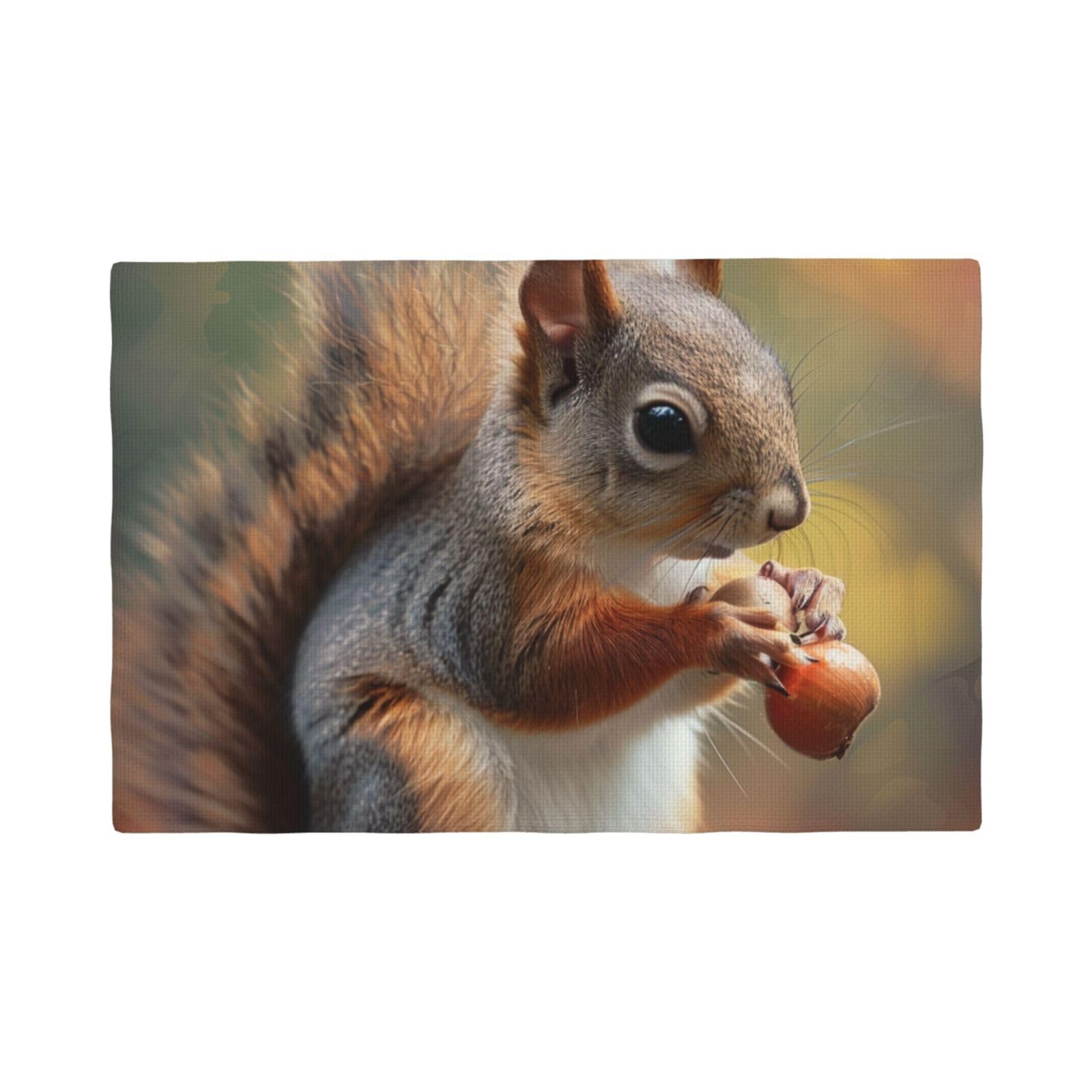 Cute Squirrel Print Placemats Set, Heat Resistant Washable Placemat 12x18in Table Mats for Party Kitchen Dining Table Decoration Indoor Outdoor, Six Piece