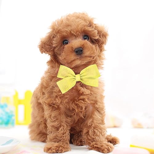 Miniatura 10 de Cintas de arpillera con alambre beige de 2.5 pulgadas, 10 yardas, decoración de borde con alambre sólido de resorte, cinta de tela para