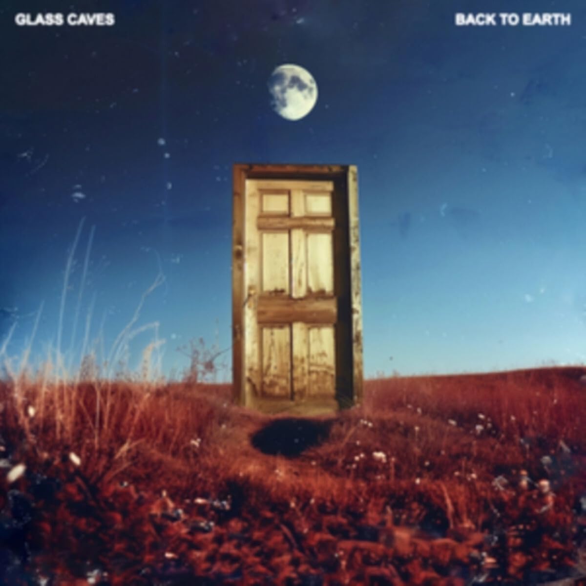 Back To Earth [VINYL]