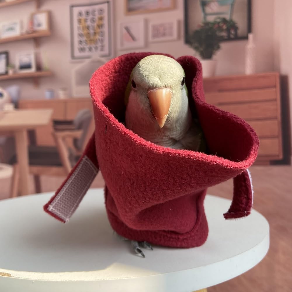 PARREN Parrot, Bird Safe and Practical Cotton Collar to Prevent Bites and Licking Wounds, to Help heal (3XL), Fuchsia