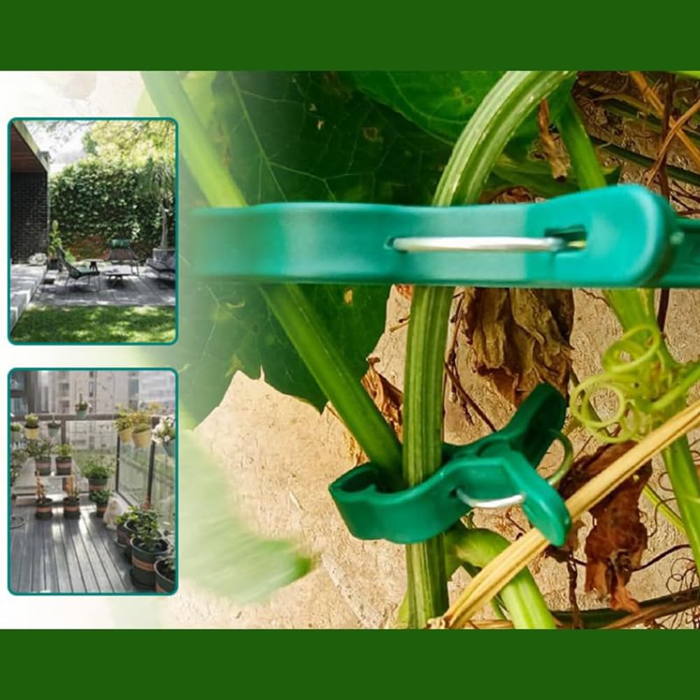 KeuLen Tuteur for fraisiers, Clips Fixes en Plastique, Clips de Support for Plantes grimpantes, Clips Fixes for vignes de Jardin
