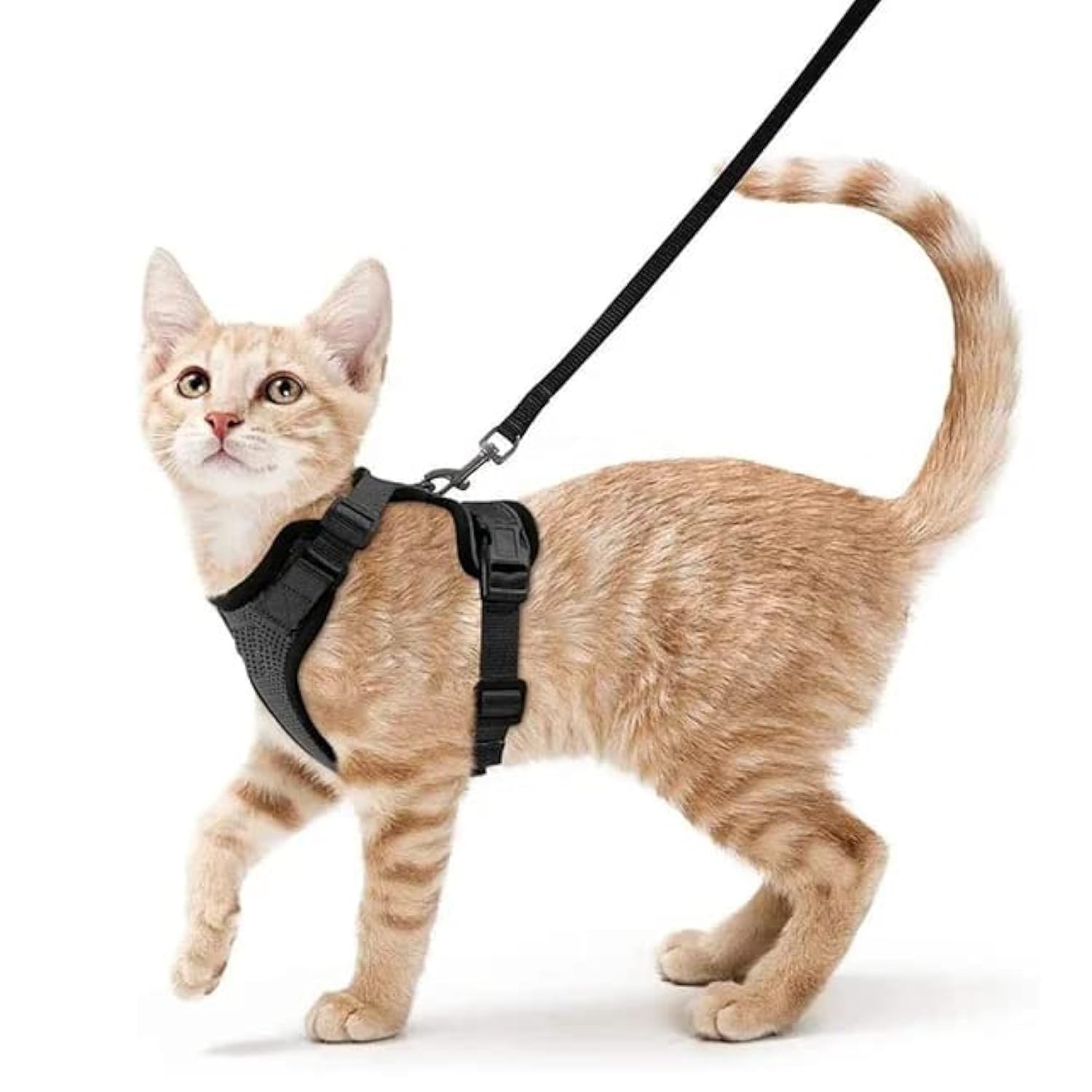 Adjustable Cat Harness Vest Custom Mesh Escape Proof Cat Harness and Leash Set for Walking (S, Black)