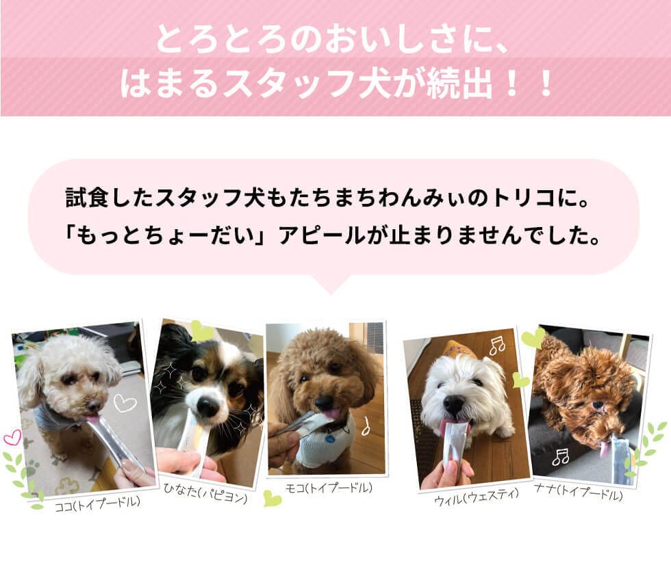 Amazon | PEPPY LIFE 犬おやつ わんみぃ ささみ 20本 無添加 犬 おやつ