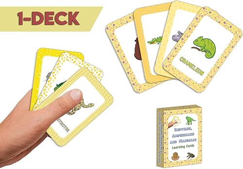 Miniatura 2 de Tarjetas de aprendizaje educativas de educación en casa (1-Deck)