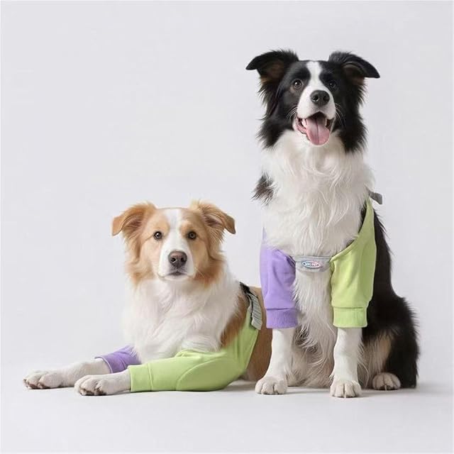Foto 2 de 7 de HAGJII Codera para Perro Y Manga De Soporte para Hombros Eficaz Rodilleras para Perros para El Tratamiento…