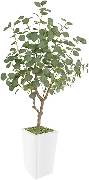 Artificial Eucalyptus Tree 5FT, Faux Eucalyptus Tree with Tall White Planter, Realistic Leaves & Natural Wood Trunk, Ideal for Home Decor and Housewarming Gift