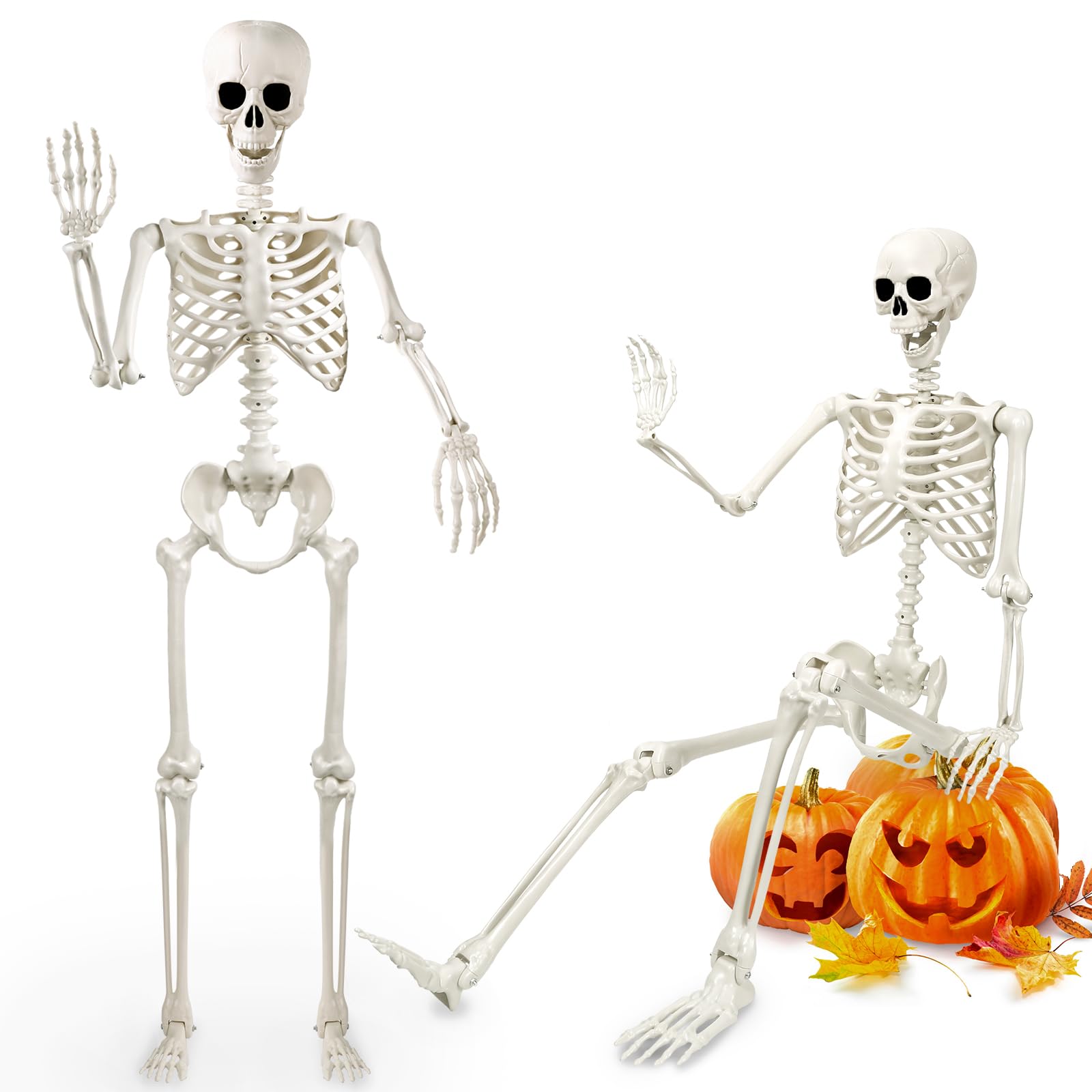 DTYDECLE 1pcs Halloween Posable Skeleton, 165cm/5.4ft Realistic Halloween Human Skeleton full body Movable Joints skeleton for Spooky Props Party Decoration