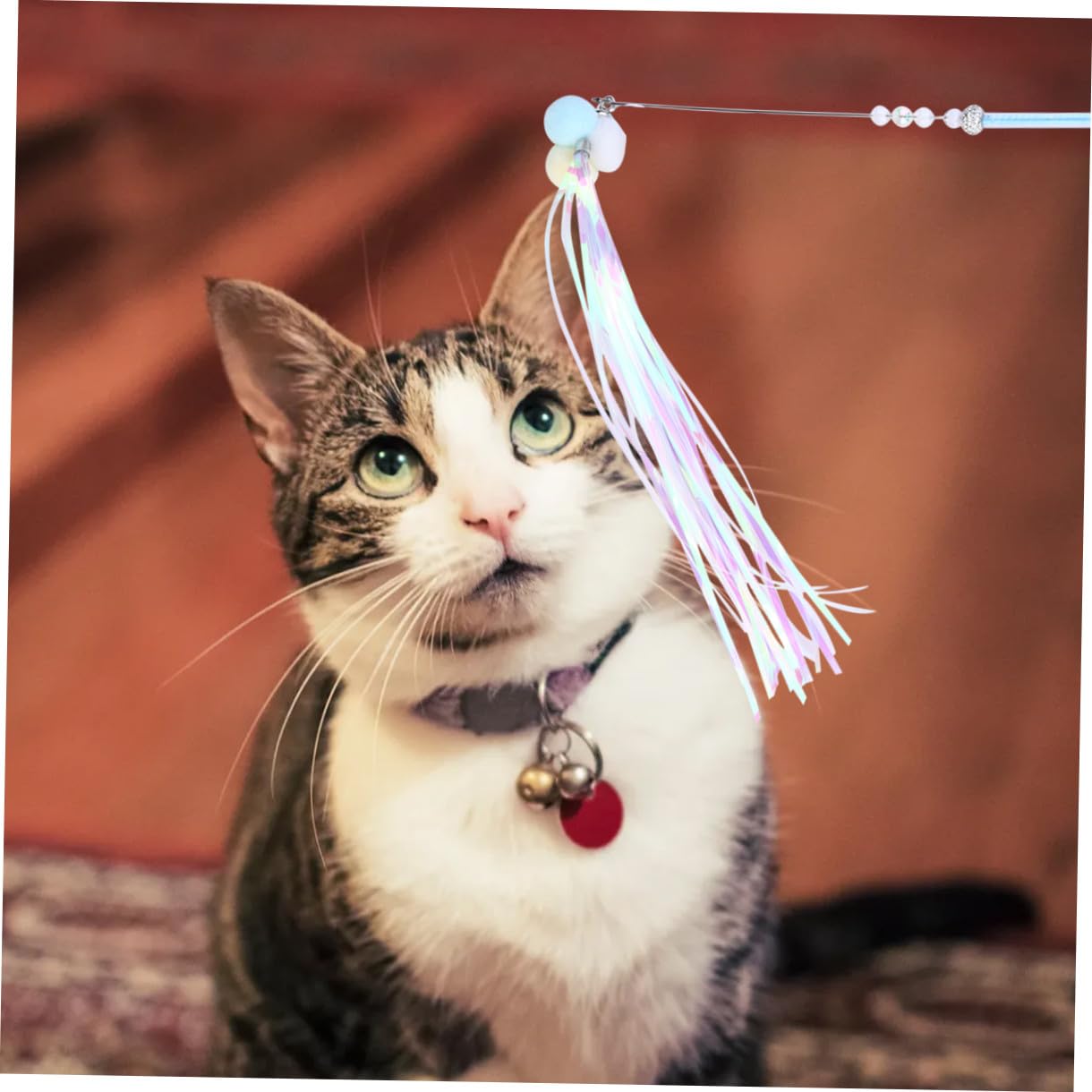 INOOMP 9pezzi Giocattolo Interattivo Per Gatti Con Pendenti Colorati Di Teaser Per Gatti Con Piume e Campanelli Giochi Per Gattini Per Divertimento e Relazione Solida