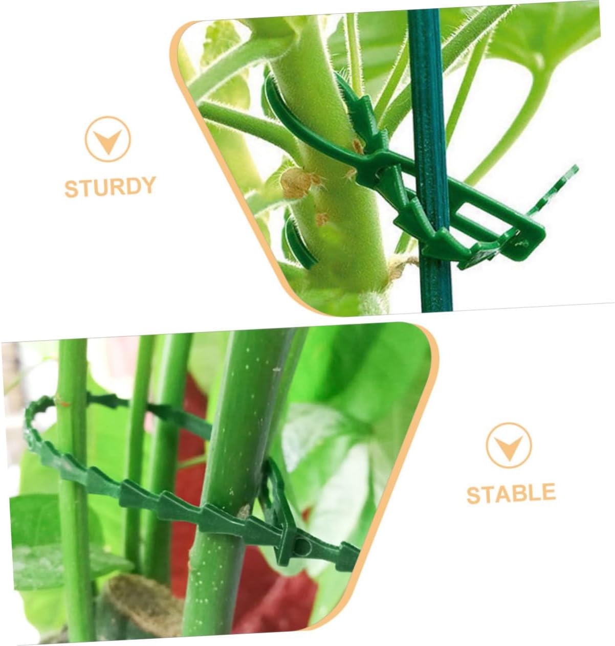 200pcs Multi-Functional Garden Plant Ties Fixing Straps for Climbing Plants Versatile Household Use for Flowers Vines and Cable Organization Lengths