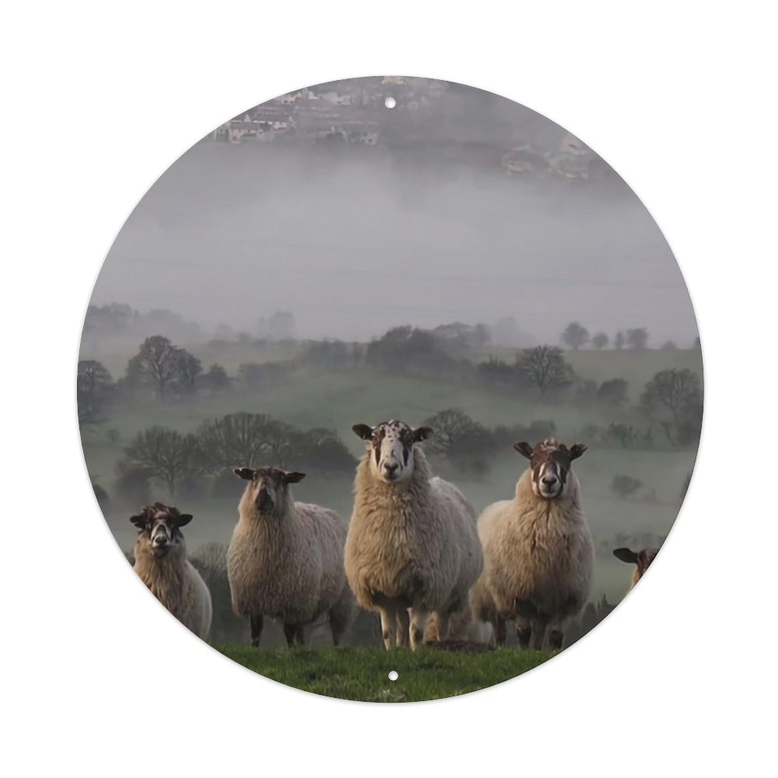 Animal Shetland Sheep Vintage Metal Tin Sign Plaque Wall Decor for Cafe, Club Bar, Office, Garden Metal Poster 8x8Inch