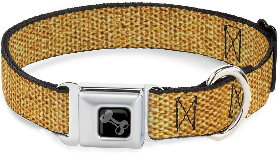 Dog Collar Seatbelt Buckle Metallic Gold 16 to 23 Inches 1.5 Inch Wide