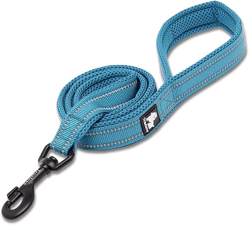 TRUE LOVE Reflective Padded Nylon Dog Walking Leash, Blue, M, 200cm | Alloy Swivel Hook, Ergonomic Padded Grip, Tear Resistant Webbing, Reflective Night Strap, All Dog Breeds, Walking & Training