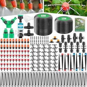 Forever Speed Système d&rsquo...