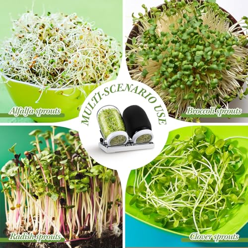 Kit de germination de graines LemonRoad 18 pcs avec 4 bocaux Mason - 7