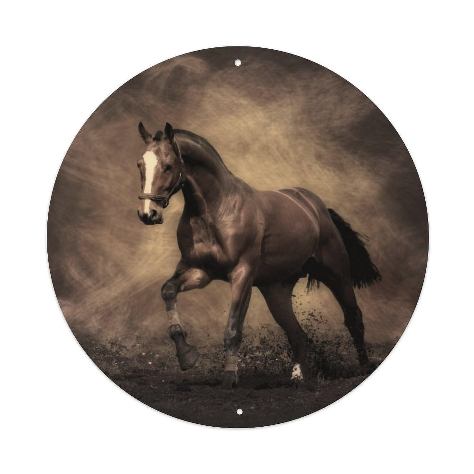 Animal Handsome Horse Metal Tin Sign