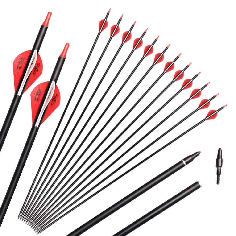 Buy 12 Pcs Archery Carbon Fiber Arrows with 3 Inch Black White Feathers