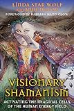  Visionary Shamanism: Activating the Imaginal Cells of the Human Energy Field (English Edition)