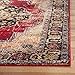 SAFAVIEH Vintage Hamadan Collection Accent Rug - 4' x 6', Red & Multi, Oriental Persian Design, Non-Shedding & Easy Care, Ideal for High Traffic Areas in Entryway, Living Room, Bedroom (VTH219A)