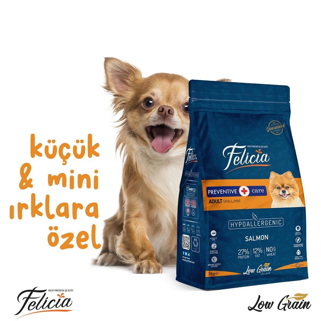 Felicia Az Tahıllı 3 Kg Yetişkin Somonlu Small/Mini HypoAllergenic Köpek Maması