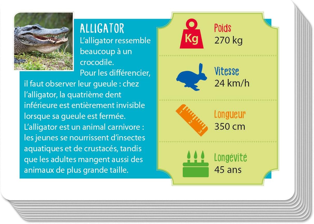 Clementoni | Amazing Animals | Contains 50 Cards | 6 Years | 52700