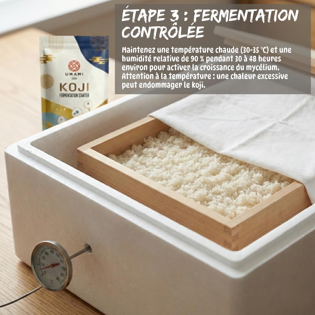 Umami Koji Kin Japonais 50g - Spores Starter pour Fermentation (Aspergillus Oryzae) - Idéal pour Miso, Saké, Amazake et Shio Koji