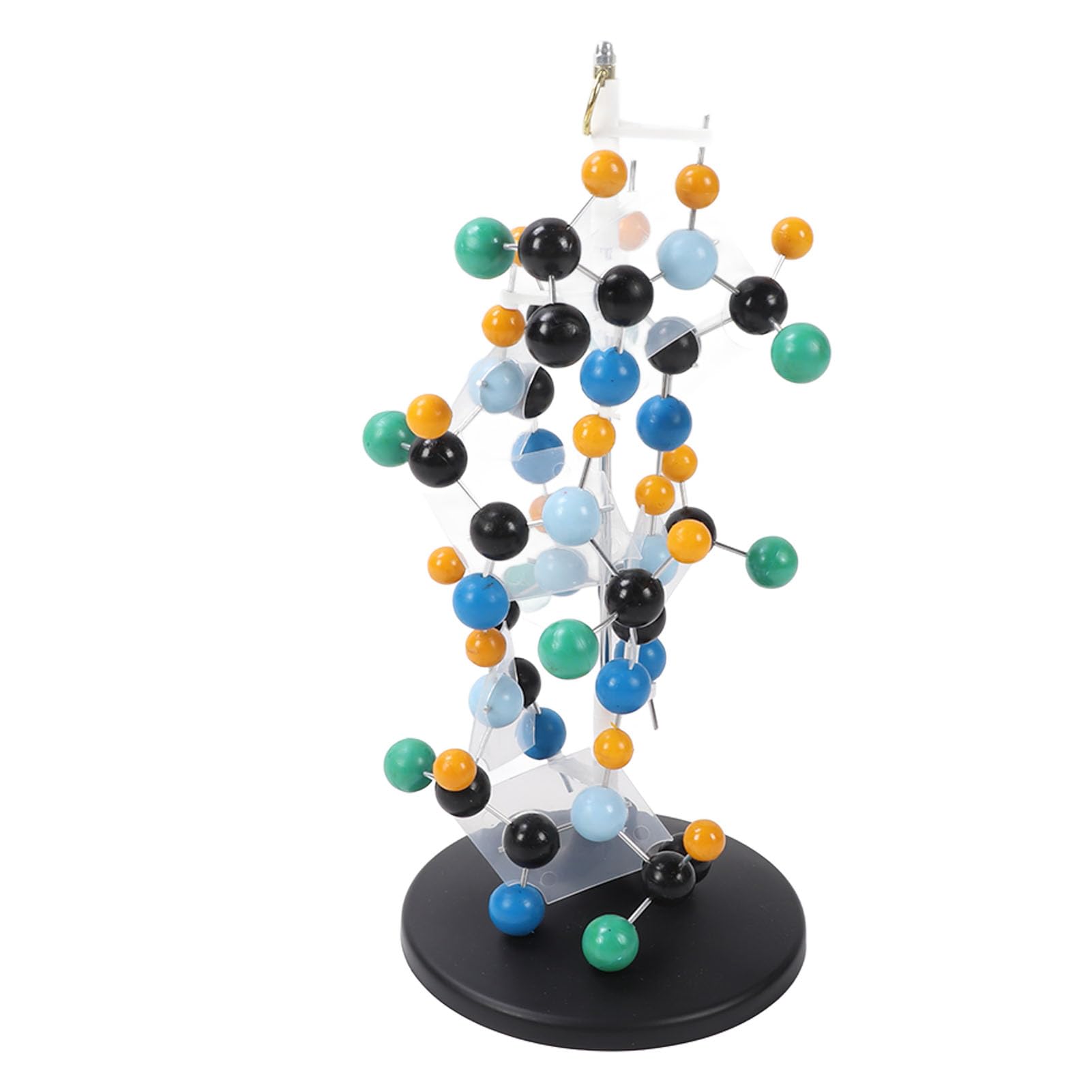 Equipo de Modelo Molecular de Proteína, Plástico Escolar para Profesores, Profesores, Profesores, Profesores, Animales Modelo