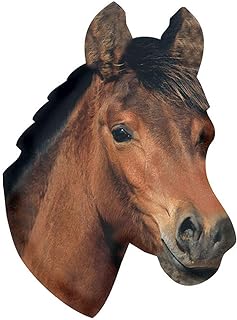 Paper House Productions 3.5" x 2.5" Die-Cut Horse Head Shaped Magnet for Refrigerators and Lockers