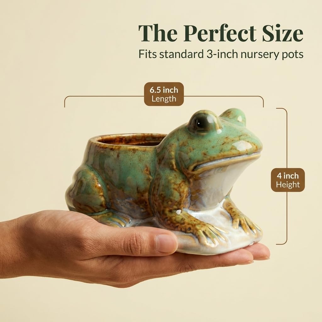 Hill's Park's 6.5" x 4" Frog Planter - Holds 3" Pot - Unique Animal Plant Pot for Indoor Outdoor Home Garden Decor