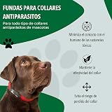 Ver la foto 2