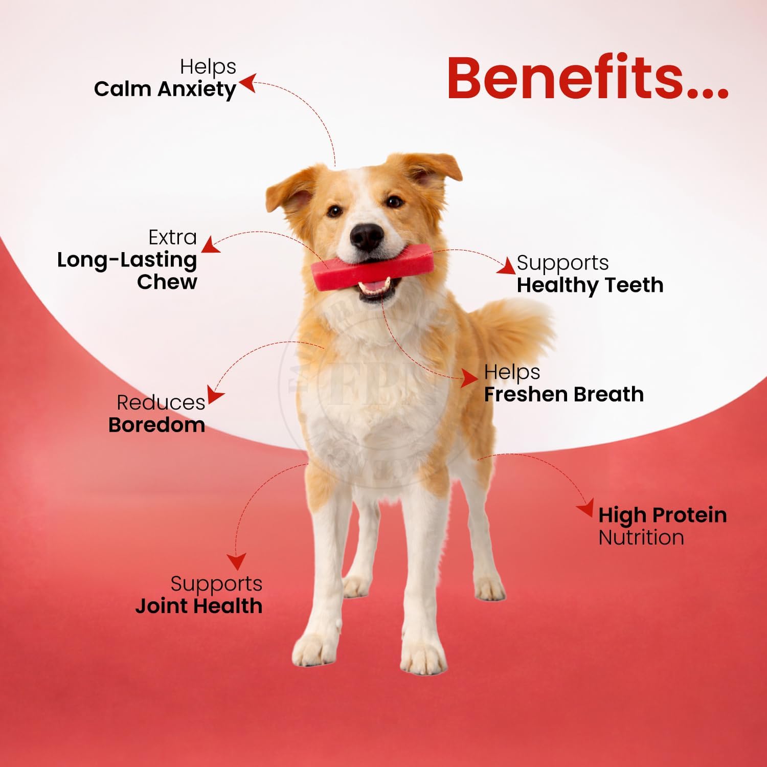 Himalayan Strawberry Cheese Dog Chews Small 5 Bar with Vegan Dental Dog Treats 7 oz | Long Lasting Cow Milk Dental Chews & Plant Based Oral Health Dog Treat Combo