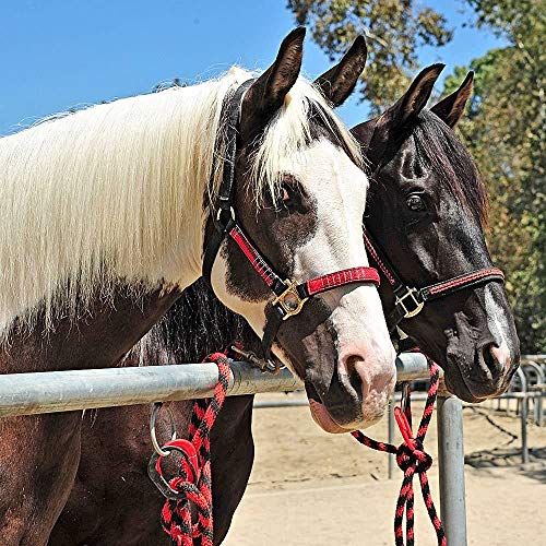 Safety Tie Injuries Preventing Horse Tether Tie, Horse Safety Release Tie Down Clip 2pcs (Turquoise) - Thumbnail 2