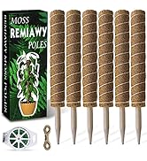 Amazon.com : Moss Pole 56 Inch, 4 Pcs Moss Pole Monstera