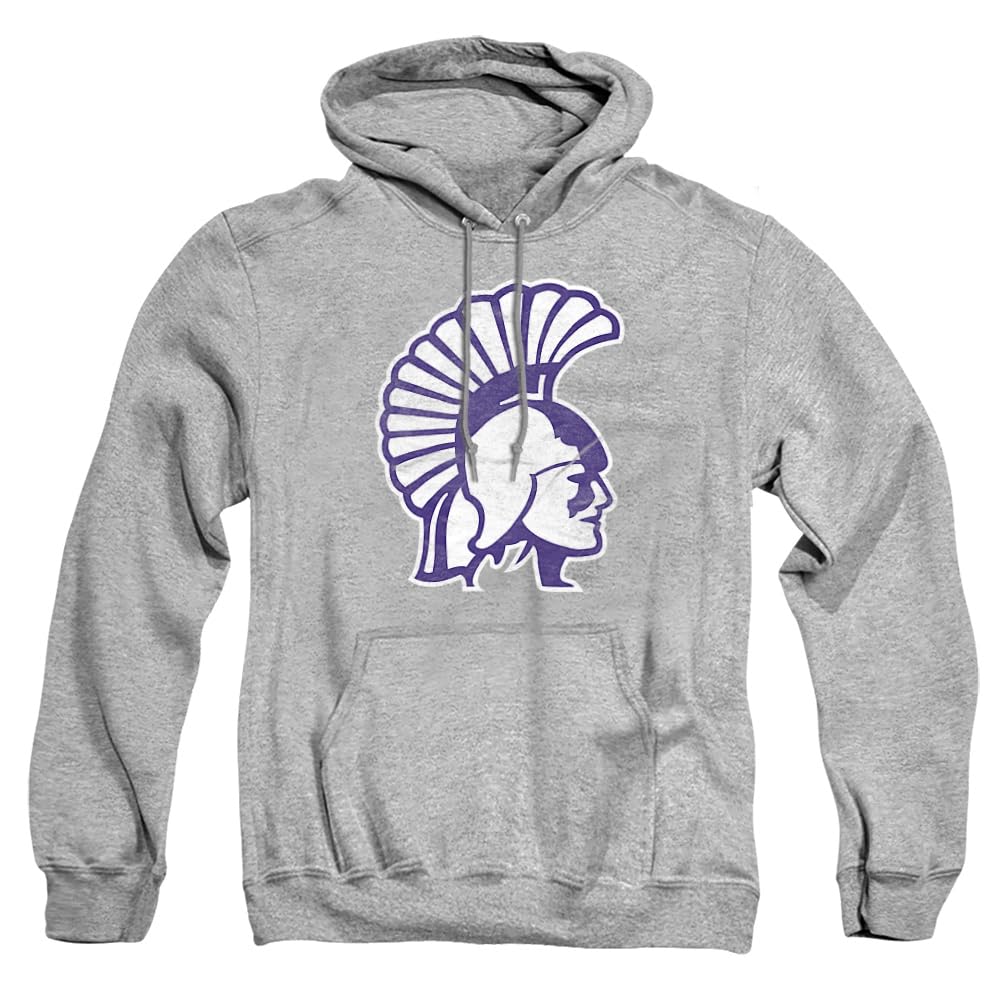 LOGOVISION Official Collegiate Distressed Primary Logo Adult Pullover Hoodie Collection — view 457