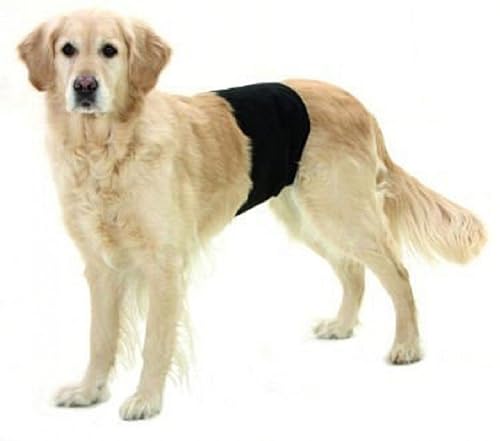 Karlie 1031703 Pañales para Perro Macho, Negro, 49 x 14 cm, S