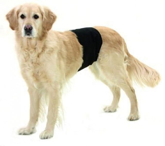 Karlie 1031703 Pañales para Perro Macho, Negro, 49 x 14 cm, S