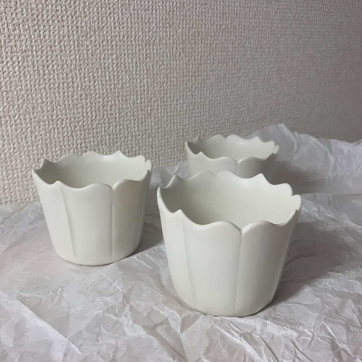 新品 高級 輪島塗 三谷吾一 とんぼ 錦皿 漆器 飾り皿 伝統工芸 共箱