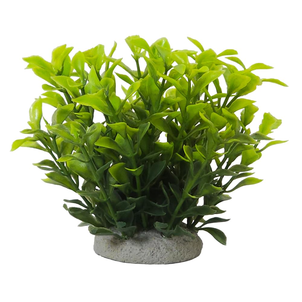 Nobby Aqua Ornaments Ludwigia Green 6.5 x 6.5 x 11 cm
