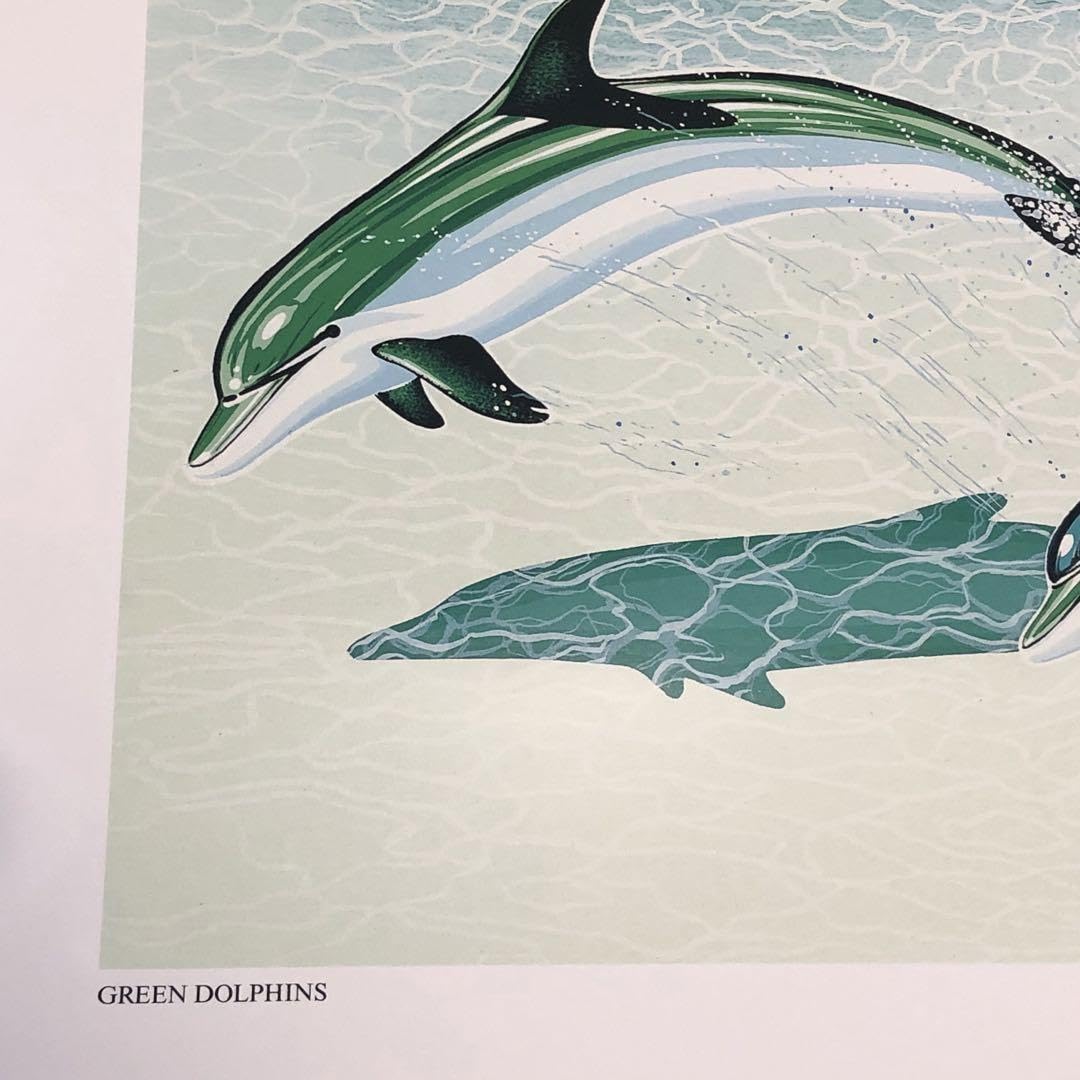 Amazon.co.jp: ヒロ・ヤマガタ ポスター ポップアートポスター dolphin