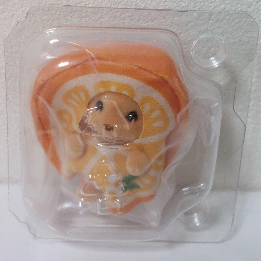Amazon.co.jp: ファミリー どきどきコレクション 赤ちゃん