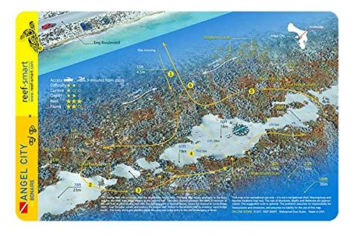 Angel City Bonaire Waterproof Dive Card