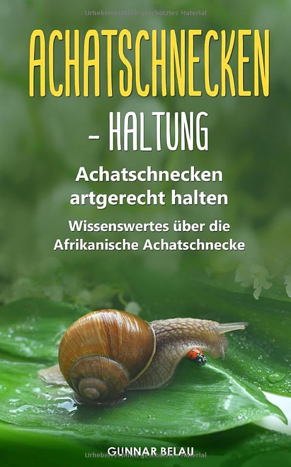 Achatschnecken - Haltung: Achatschnecken artgerecht halten |...